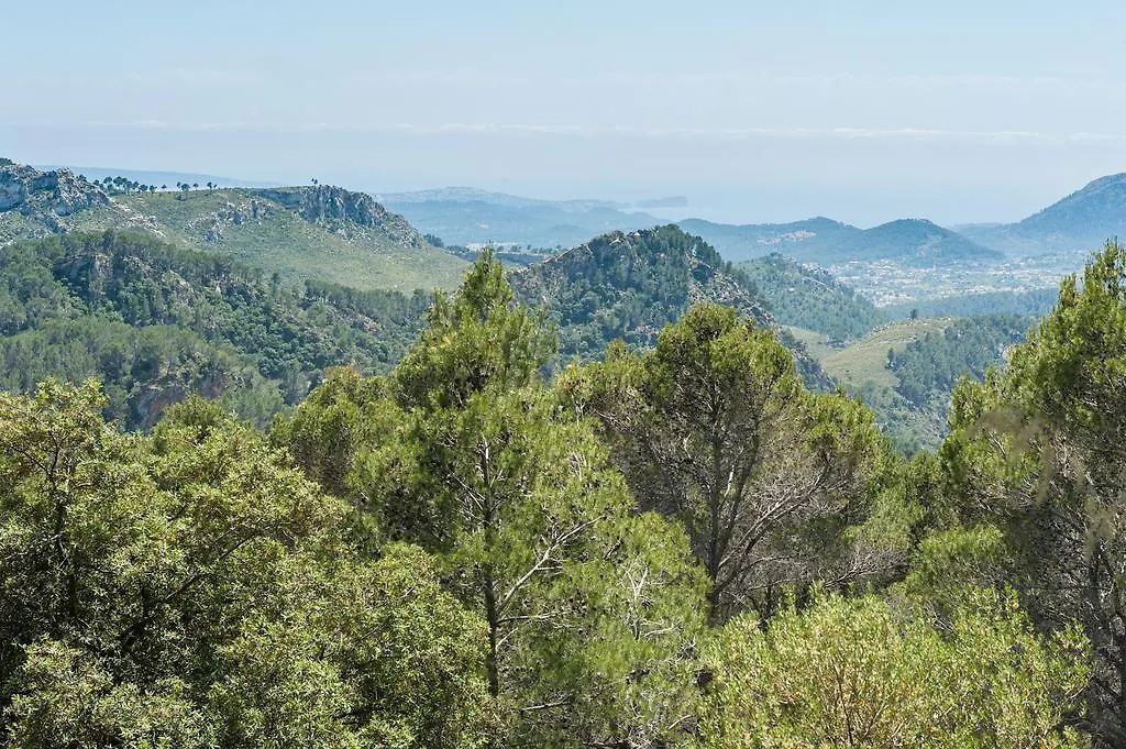 Can Tresas Inca  Inca (Mallorca)